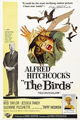 Hitchcock经典悬疑：《群鸟》鸟类入侵的恐怖传奇