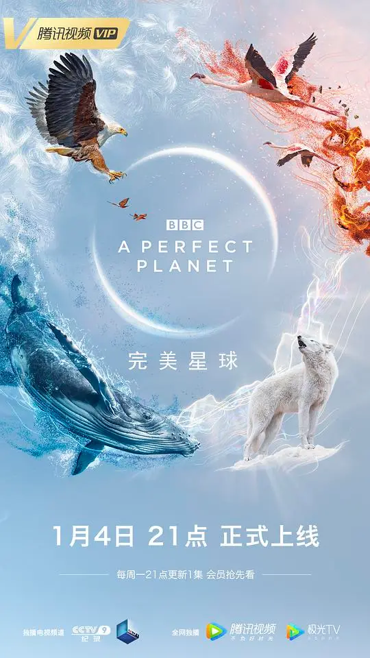 《完美星球》：地球的生命奇迹与脆弱之美