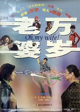 《老婆万岁》：笑泪交织的婚姻万花筒，看懂婚姻里的那些事儿！