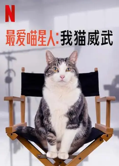 《最爱喵星人：我猫威武》：萌宠治愈爆笑来袭，猫咪也能拯救世界？