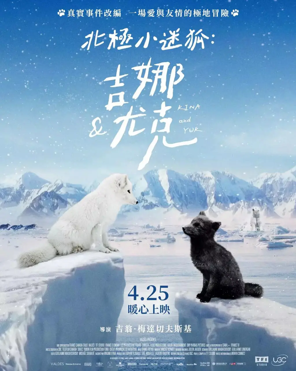 北极冒险：小迷狐吉娜和尤克的奇妙旅程，让你重温童年幻想